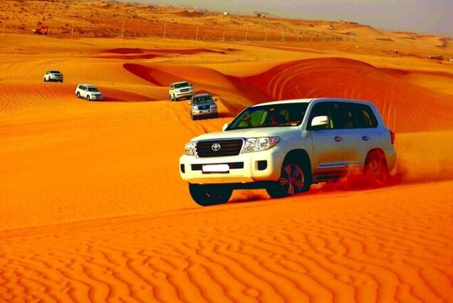 Premium Desert Safari with Dune Bashing